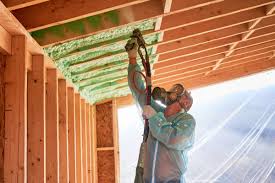 Best Spray Foam Insulation  in Enterprise, NV